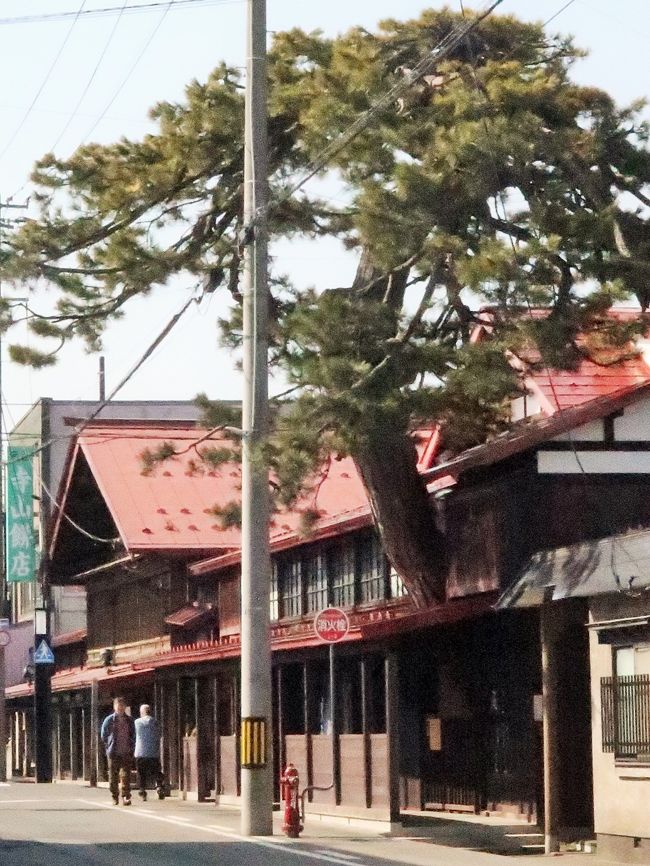 中町こみせ通りは、青森県黒石市に江戸時代前期から続くアーケード状の通路で、まとまった形で残されているのは、全国的にも類例がないといわれている。 <br />行政上の路線名は、黒石市道前町野添線といい、「小見世(こみせ)」と呼ばれる道路側に並ぶ木柱の上に、冬の積雪や夏の陽射しを遮る板張り天井のひさし状の屋根がかかっている通りである。<br />黒石津軽家の江戸時代からの昔ながらの風情が保たれているアーケード状の通路空間は、通りに軒を連ねていた旅篭や呉服屋、商家にとってはなくてはならないものであった。国の重要文化財高橋家住宅、造り酒屋、蔵などが並ぶ。2005年(平成17年)に、国の重要伝統的建造物群保存地区に選定され、黒石市大字前町から大字寿町の0.6キロメートル (km) 区間が、1987年(昭和62年)8月10日に、旧建設省と「道の日」実行委員会により制定された「日本の道100選」に選ばれている。近隣の中町かぐじ広場には黒石ゆかりの四大作曲家歌碑顕彰碑がある。 <br /><br />黒石は、津軽地方を統一した津軽為信の孫にあたる津軽信英が、藩政時代の1656年(明暦2年)に弘前藩の支藩として黒石領主となり、陣屋を中心に栄えた城下町で、中町は黒石陣屋の東北に位置する。当時の町並みや文化財が随所に残されており、特にこみせを主体とした中町の町並みは、日本全国の中でも類を見ない伝統建築物群である。 <br />南に前町、北に浜町が続くこの道は、「浜街道」とよばれる弘前から青森方面に通じる街道筋に位置し、明治初期まで北海道へ向かう旅人の旅路でもあった。黒石で宿泊することが普通であった旅程であったことから、中町は造り酒屋、呉服屋、米屋などが軒を並べ、前町、横町などの商人町とともに黒石城下の中核を成していた。 <br />「こみせ」は、町屋と商家の軒の外側に、冬の吹雪や夏の日照りから歩行者を守るように軒のようにつくられた屋根で、藩政時代に考えられた木造のアーケードと言えるものである。敷地は私有地で、屋根は本屋とは別になって両隣と連続しており、それぞれの所有者によって管理されている。現在は、単なる通路となっているが、以前は大通りに面した柱と柱の間に摺り上げ戸をはめ込んで、厳しい自然環境から通行人を守っていた。<br />(フリー百科事典『ウィキペディア(Wikipedia)』 より引用<br /><br />中町こみせ通り については・・<br />https://kuroishi.or.jp/sightseeing/komisedoori<br />http://www.city.kuroishi.aomori.jp/Sight_Seeing/Sig_Komise_Dori.html<br /><br />津軽とは、青森県西半部の呼称。かつての陸奥国の一部で,戦国時代以後津軽氏が領有。江戸時代には弘前,黒石の2藩に分かれた。<br />https://kotobank.jp/word/%E6%B4%A5%E8%BB%BD-99067 より引用<br /><br />みちのくの絶景と青森の名湯・伝統芸能 酸ヶ湯温泉と五能線・鶴の舞橋 3日間 クラブツーリズム <br />3日目 3月19日(木) <br />大鰐温泉--【移動:約50分】-黒石(こみせ通りを散策)【滞在:約40分】--【移動:約20分】--【移動:約30分】--(昼:弁当) --酸ヶ湯温泉(東北を代表する秘湯)【滞在:約50分】--津軽伝承工芸館【滞在:約40分】--【移動:約60分】-青森空港(15:15発)- -日本航空146便--羽田空港(16:40着) <br />
