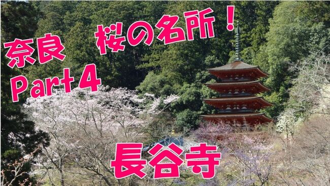 奈良県桜井市の長谷寺に行ってきました！<br />長谷寺は現在桜が満開です！?<br /><br />お客様もここは多かったですね！(^^)/<br /><br />https://www.youtube.com/watch?v=-Gj76d5VGf0&amp;t=4s<br />