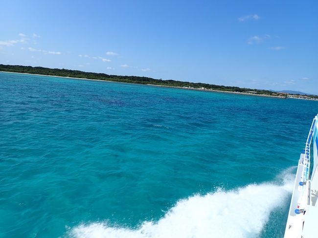 大好きな石垣島、今回は冬に行って来ました。<br />往復ピーチアビエイションを利用、冬でも<br />石垣島は楽しかったです!<br /><br />今日も朝から快晴、竹富島へ行く事にしました。