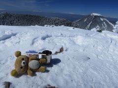 雪山の北横岳行って来るクマその２