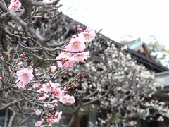 ひょんなことから三島滞在数時間の旅へ