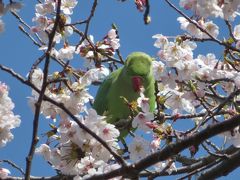 ”善福寺川緑地”緑のゾーンへ遊びに行こう！（・ω・）/♪