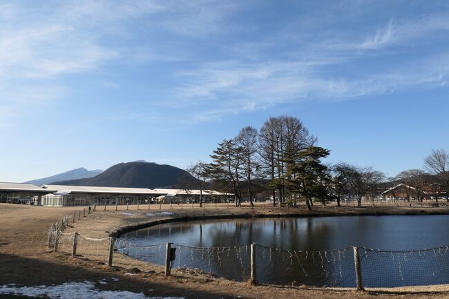 2020年2月18日-21日、軽井沢に行きました♪<br />愛犬と一緒にスキー、ショッピング、グルメを楽しんできました♪<br /><br />☆Vol.1：第1日目　軽井沢♪<br />東京からマイカーで軽井沢へ。。<br />お昼に軽井沢プリンスホテルに到着したが、<br />チェックインできるとのことでラッキー♪<br />ドッグコテージに。<br />旅の疲れを癒やして。<br />そしてアウトレットモールへ。<br />ガラガラでびっくり。<br />各ブランドの品揃えも豊富でびっくり。<br />しかもアウトレット価格よりもさらに割引きセール。<br />日常使いに便利な着回しの効く小物やウエアを買っていく。<br />美しい風景も魅力的で、<br />ショッピング合間にリフレッシュできる。<br />ゆったりと歩いて眺めて♪