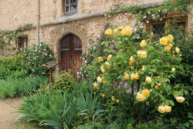薔薇と羊に癒された英国の旅(7)コッツウォルズ編④スードリー城 薔薇と羊に癒された英国の旅(7)コッツウォルズ編④スードリー城