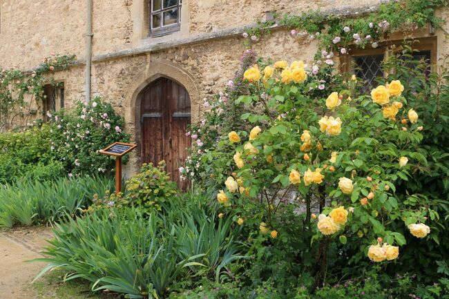 「スードリー城」は6人の妻を娶ったイングランド王ヘンリー8世の<br />最後の妃となったキャサリン・パーが暮らした城で、800種類の<br />薔薇が植えられているという『クイーンズ・ガーデン』を見たくて<br />楽しみにしていました。<br /><br />カッスルクームは15世紀に羊毛産業で繁栄した村で、今も当時の<br />家並みが残されています。<br />人口は350人ほどで、数々の映画のロケ地にもなっています。<br />鄙びた村の雰囲気とは対照的な14世紀の領主の館を改装した<br />「マナーハウス・ホテル」に泊まり、ちょっぴり優雅な気分に。<br /><br />観光最終日である翌日は、映画「ハリー・ポッター」シリーズの<br />ロケ地として知られるレイコック村とレイコック・アビー(修道院)を<br />訪れました。<br />中世の街並みが残る人気の観光地で、アビーとレイコックの村ごと<br />ナショナル・トラストにより管理運営されています。<br /><br /><br /><br /><br />～・～・～・～・～・～　旅　　程　～・～・～・～・～・～<br /><br />　6/05(水)　HND発11:20(JL043)⇒LHR着15:50（ヒースロー泊）<br />　6/06(木)　＊LHRにてレンタカー・チェックアウト<br />　　　　　　LHR→ロウアー・スローター→アッパー・スローター<br />　　　　　　　→スノウズヒル→ブロードウェイ→バイブリー《泊》<br />　6/07(金)　バイブリー→ストウ・オン・ザ・ウォルド<br />　　　　　　　→ボートン・オン・ザ・ウォーター《泊》<br />　6/08(土)　ボートン・オン・ザ・ウォーター→チッピング・カムデン<br />　　　　　　　→ヒドコート・マナー・ガーデン→ヴィーガン《泊》<br />　6/09(日)　ヴィーガン→グラスミア→ライダル・マウント<br />　　　　　　　→ニア・ソーリー《泊》<br />　6/10(月)　ニア・ソーリー→ホークスヘッド→アンブルサイド<br />　　　　　　　→ウィンダミア→ボウネス《泊》<br />　6/11(火)　ボウネス→ストラトフォード・アポン・エイヴォン《泊》<br />★6/12(水)　ストラトフォード・アポン・エイヴォン→スードリー城<br />　　　　　　　→カッスルクーム《泊》<br />★6/13(木)　カッスルクーム→レイコック→ヒースロー《泊》<br />　6/14(金)　LHR発09:40(JL042)⇒《機中泊》<br />　6/15(土)　羽田着05:25<br /><br />（旅行時　１ポンド ≒ 137円）