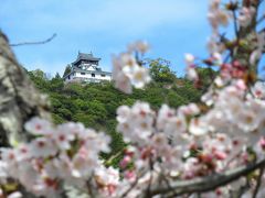 出張先から戻らず待機。そのおかげで楽しむ錦帯橋と尾道を彩る桜