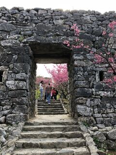 2018年冬 沖縄本島のんびり4日間の旅③本部から国頭村へ