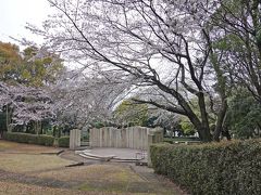 桜見物 2020.03.30 ＝1.中央公園＝