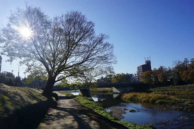 京都を楽しむなら朝に限る！<br />朝の京都を散歩してみました。<br />画像は、賀茂川にてです。<br /><br />過去の京都・京都市北区散歩記。<br /><br />関西散歩記～2019 京都・京都市上京区・北区編～<br />https://4travel.jp/travelogue/11500292<br /><br />関西散歩記～2018 京都・京都市北区編～<br />https://4travel.jp/travelogue/11428663<br /><br />関西散歩記～2016 京都・京都市北区編～<br />https://4travel.jp/travelogue/11117996<br /><br />過去の京都・京都市左京区散歩記。<br /><br />関西散歩記～2019-4 京都・京都市左京区編～<br />https://4travel.jp/travelogue/11608157<br /><br />関西散歩記～2019-3 京都・京都市左京区編～<br />https://4travel.jp/travelogue/11500668<br /><br />関西散歩記～2019-2 京都・京都市左京区編～<br />https://4travel.jp/travelogue/11491977<br /><br />京都まとめ旅行記。<br /><br />My Favorite 京都 VOL.6<br />https://4travel.jp/travelogue/11504781<br /><br />My Favorite 京都 VOL.5<br />https://4travel.jp/travelogue/11463030<br /><br />My Favorite 京都 VOL.4<br />https://4travel.jp/travelogue/11369230<br /><br />My Favorite 京都 VOL.3<br />https://4travel.jp/travelogue/11275410<br /><br />My Favorite 京都 VOL.2<br />http://4travel.jp/travelogue/11120777<br /><br />My Favorite 京都 VOL.1<br />http://4travel.jp/travelogue/10945390