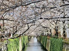 2020年3月　春旅　桜を探して有給消化日を楽しむ