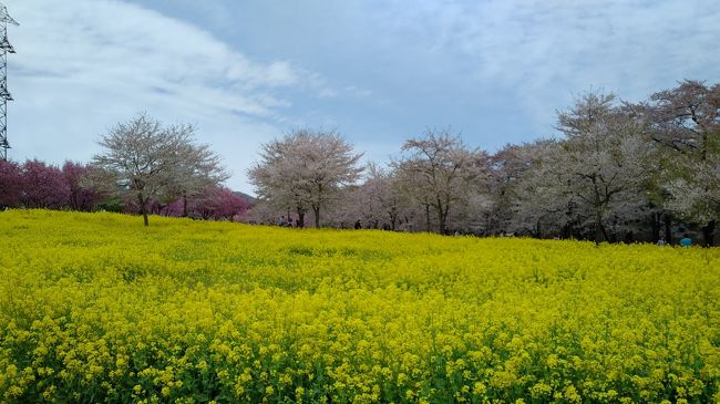 再び田沢温泉に宿泊して東京へ向けて出発します。<br />青木村から赤城山のふもと、前橋を経て東京まで戻ります。