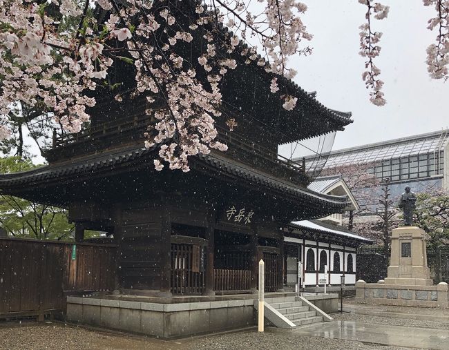 3月29日は、東京では珍しく季節外れの雪が降った。桜の開花が早かっただけに驚いたが、桜に雪が積もるという現象が起きた。コロナウィルスの件で小池知事が繰り返し外出自粛を要請しているので、花見はやめて近場の泉岳寺で雪が積もった桜を撮影に出かけた。<br /><br />泉岳寺は曹洞宗の寺院、1612年に徳川家康が外桜田の地に創建したが、1641年の大火で焼失したため、徳川家光が現在の高輪の地に再建させたという。忠臣蔵で知られる浅野内匠頭と四十七士が葬られている寺だ。中門をくぐると境内には本堂（開山堂）、山門、赤穂浪士記念館、義士木像館、大石内蔵助良雄銅像、四十七士の墓などがあり、普段なら多くの人が訪れるが、さすがにこの日はひと気がない。江戸城中で吉良上野介に対し刃傷沙汰に及んだのは1701年、江戸本所の吉良屋敷に押し入って吉良の首級を上げたのはその翌年である。歌舞伎で演じられる筋書きは史実をかなり誇張したものであろうが、忠臣蔵ファンならずとも一度訪れてみてはいかがだろうか。<br /><br />ところで3月14日に開業した高輪ゲートウェイ駅は泉岳寺の目の前である。隈研吾の斬新な設計で、折り紙を模した大屋根は光は透過させるが熱は遮断するという膜構造、QRコードを使った自動改札が採用されている。実際に見ることはできなかったが、人工知能案内ロボットの配置、無人コンビニエンスストアの導入など、話題満載の新駅だ。