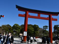 鎌倉見物、鶴岡八幡宮