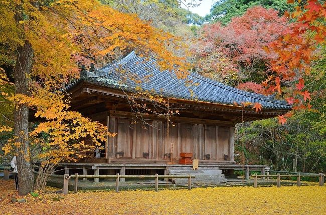 かつて山口県宇部市に単身赴任していた頃、職場や居酒屋仲間で構成される「宇部歩歩会」に参加して、休日のウォーキングを楽しんでいた。月一回の日帰りウォーキングと、12月のみ宿泊付きの九州方面忘年ウォークが例会となっていた。退職して千葉に戻ってからは、毎月出掛けることは出来ないが、12月の忘年ウォークには、昔の仲間との交遊を兼ねて参加することにしている。最近の実績は以下の通りだ。<br />2018年:長崎市(長崎)<br />2017年:宗像大社・大島・新原奴山古墳群等(福岡)<br />2016年:阿蘇・熊本市(熊本)<br />2015年:有田・嬉野・武雄(佐賀)<br />2014年:和水町(熊本)・柳川(福岡)<br />2013年:唐津・葉隠れの里・佐賀市(佐賀)<br /><br />当方以外は宇部市在住なので、忘年ウォーク前日に宇部に宿泊して、翌朝早くに15名程が車数台に分乗して九州へ行き、10km程度のウォーキング後温泉宿泊・宴会、翌日再び10km程度のウォーキングをして宇部に戻るというのが定型パターンとなっている。2019年は、大分県国東半島でのウォーキングで、主な目的地は以下のようになっていた。<br /><br />1日目ウォーキング:豊後高田市の真木大堂、富貴寺周辺<br />1日目宿泊・宴会:別府市ホテルサンバリー<br />2日目ウォーキング:杵築市城下町、安心院鏝絵巡り、宇佐神宮<br /><br />1日目は、豊後高田市の田染公民館から田舎道をウォーキングし、真木大堂と富貴寺に参拝するコースだったが、昼食が遅くなったことと、予想以上に距離が長く計3時間半ほどの道のりだったことで、皆さん結構お疲れの様子だった。<br /><br /><br /><br />