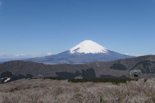 2020年3月16日-18日、箱根に行きました♪<br />愛犬と一緒に温泉、美しい自然、グルメを楽しんできました♪<br /><br />☆Vol.5：第2日目　箱根♪<br />強羅温泉の最上部に位置するホテル凛香で朝食を頂いたら、<br />出かけよう。。<br />車で10分にある大涌谷へ。<br />晴れ渡り、素晴らしいパノラマ。<br />冠雪の美しい富士山。<br />眼下に芦ノ湖。<br />遠くに駿河湾もみえる。<br />ゆったりと眺めて♪