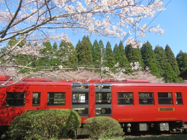 熊本県の人吉駅から肥薩線の「観光列車いさぶろう1号」に乗って鹿児島県の吉松駅まで行きました、キハ40系の気動車で2両編成、日本三大車窓の矢岳越を通り、半径300mのループ線、2か所のスイッチバックがあり鉄道ファンに人気があります、途中一時停車・徐行しました、車内放送による案内もありました。<br /><br />観光列車いさぶろう1号は熊本駅から人吉駅まで特急列車で人吉駅から吉松駅までは青春１８きっぷで乗車できる普通列車、途中の大畑駅・矢岳駅・真幸駅で６～７分の停車時間があるのでちょっと駅付近を見ることが出来ました、明治の時代に建設された懐かしい駅舎を見てた楽しみました、1時間20分の列車旅でした、今回、人吉駅前にある人吉駅弁やまぐちで栗めし（1200円）を買いました。