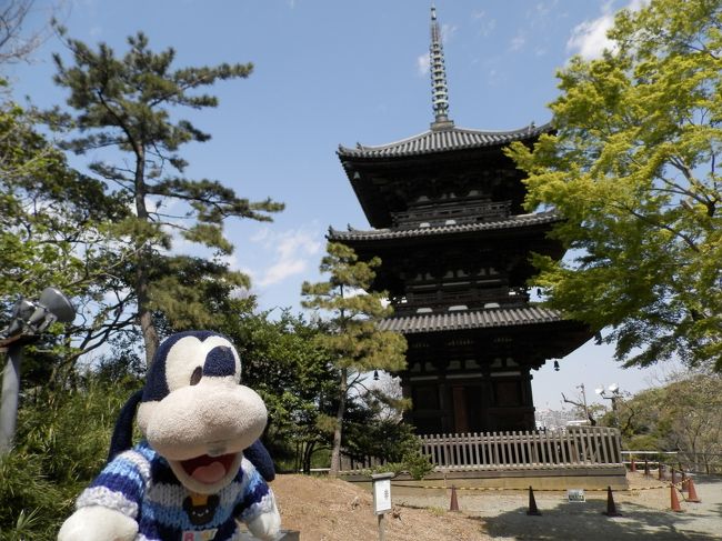 グーちゃんだよ。<br />三溪園の桜は満開！<br />風邪は強いもののお天気もよく<br />祝言をあげた連中の撮影会が開催されてたよ。<br />そんな様子をチェックし茶屋で一服と思ったら・・・。<br />まさか、ここで出るとは！<br />何がって？それは本編で・・・。