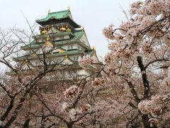 大阪城の桜