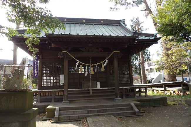 　小田原市扇町3に鎮座する井細田八幡神社は天正年間（1573年～1592年）に創建された。名主役星野治郎右衛門が勧請し、以来井細田の鎮守として村民の信仰が篤く、明治6年（1873年）、足柄県において村社に指定され、大正4年（1915年）に神饌幣帛料供進神社に指定された。なお、神饌幣帛料供進神社(しんせんへいはくりょうきょうしんじんじゃ) とは、郷社・村社を対象に明治から終戦に至るまで勅令に基づき県令をもって県知事から、祈年祭、新嘗祭、例祭に神饌幣帛料を供進された神社を指す。<br />　ご祭神は誉田別尊 （ ほむだわけのみこと）である。<br />　社叢は昭和50年（1975年）に小田原市保存樹林に指定されたが、多くの古木・大木が伐採され、境内に丸太となって置かれている。大雄山線井細田駅南の踏を拡張工事のために伐採されたのだという。現在では明るい境内になっている。<br />　境内は大正14年（1925年）に整備されている。関東大震災（大正12年（1923年））で社殿が倒壊し、鳥居や石橋も倒壊したのであろう。石橋を渡る手前に由緒が記された看板が建てられているが、これには大正4年（1915年）以降は昭和50年（1975年）までの間は記載がなく、「現在に至る」の一言で済まされている。由緒は、1.創建、2.村社、3.神饌幣帛料供進社、4.小田原市保存樹林だげであり、他には御祭神と境内神社とそのご祭神しか記載がないのだ。簡単というか、味気ないというか…。<br />（表紙写真は井細田八幡神社拝殿）