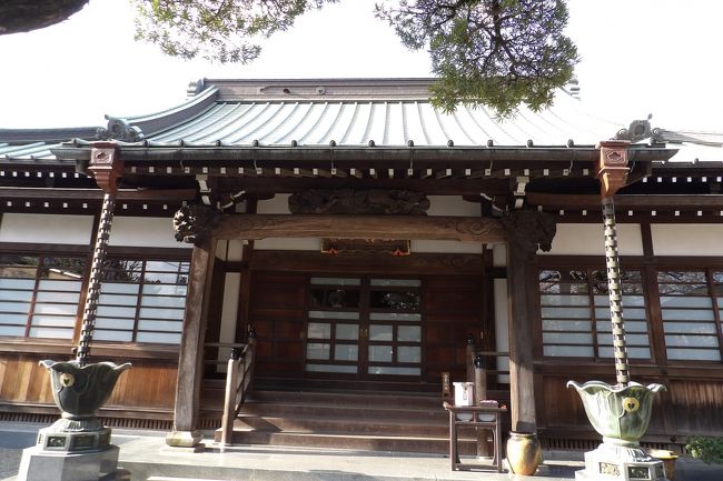 小田原市扇町1にある眼蔵寺は曹洞宗のお寺で正法山眼蔵寺という。残念ながら眼蔵寺の創建年や縁起については見付からなかった。しかし、国道255号線が横近くを通り、眼蔵寺の門前手前にも寛延3年(1750年)銘の双体道祖神(https://4travel.jp/travelogue/11614411)があることから、江戸時代に流行った大山詣での小田原からの街道に位置していたのであろう。また、境内の藤棚の藤の木は古木・巨木であり、道祖神が建立された寛延3年(1750年)には既に創建されていたことは間違いないであろう。少なくても曹洞宗の大寺院・大雄山最乗寺(https://4travel.jp/travelogue/11609049)が創建された応永8年(1401年)を上回ることはないであろう。<br /> そうした江戸時代からの歴史があったために、明治6年(1873年)にはここ眼蔵寺に成美館(公立小学校)が創始されたのだろう。<br /> 眼蔵寺は川に囲まれており、一見、お堀のようにも見える。電車から境内に咲いている枝垂れ桜の花が見えるのであるが、単線とはいえ大雄山線の線路で遮断されており、井細田駅横の踏切を渡って国道255号線を通り、山王川を渡り、右折して線路と国道の中間にある道路を戻るとかなり奥に巌蔵寺の門前が見えてくる。井細田駅とは直線距離では200m程度であるが、この道では800m程度はあろうか。少なくても井細田駅横の踏切とその南側にある踏切は私立芦子小南側までなく、この間は500m弱の線路長がある。一言でいえばプチ陸の孤島のお寺である。<br /> 井細田駅で下車してようやく辿り着くと枝垂れ桜が迎えてくれる。あるいは染井吉野も満開である。おそらくはこうした桜が散った後なら、藤棚の下で藤の花で癒されるであろう。<br />(表紙写真は眼蔵寺本堂)
