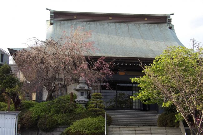小田原市城山1にある高長寺は曹洞宗のお寺で栖龍山高長寺という。明治時代に横浜監獄小田原分署幼年監が設置された際に、用地内にあった後北条氏にゆかりのある高源院と現在地にあった長吉寺が合併され、それぞれの頭文字を取って高長寺と名付けられたものである。したがって、高源院は戦国時代に創建されている。<br /> かつて、ハクモクレンが有名であった。このハクモクレンは長吉寺の頃から現在位置にあったものと思われるが、枯れ木となってしまい平成26年(2014年)に伐採されている。枯れる前のハクモクレンは樹高約12mで株元周囲2.8mと小田原市内のハクモクレンの中では最大級の名木・古木であった。<br /> 明治の文学者北村透谷や文政年間(1818年~1830年)に日本最後の公許による仇討ちを果たした浅田兄弟の兄・鉄蔵の墓があることでも知られている。<br /> 本堂は鉄筋コンクリート造である。本堂前には枝垂れ桜が植えられている。<br />(表紙写真は高長寺本堂)