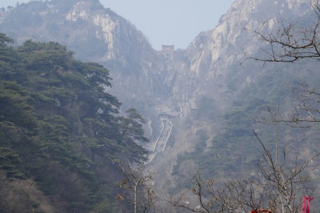 注意. この旅行記は2019年3月のものです. 誤解無きようお願いしますm(__)m.さすがに今のこの時期に中国(というか海外)に行きません...<br />------------------------------------------------------------------------------<br /><br />最近 暇なので,1年前の 世界遺産の曲阜と泰山の旅を思い出しながら書いてみました! <br /><br />写真は聖地(霊峰) 泰山です. 素晴らしいところでした.<br />泰山は かの始皇帝さまが封禅したという,本当に歴史と伝統のあるところです. もちろん世界遺産で 中国きっての聖地かと...<br /><br />さらに、かの孔子さまの故郷であり、世界遺産にも登録されている曲阜にも寄ってみました!!<br />中国の世界遺産って本当にスケールが大きいですね(^^♪ <br />はやく平和になって、中国にまた訪れたいものです...<br /><br />中国までは、<br />========================<br />MU5086 3/23 ICN:23:10--TNA 23:30<br />|<br />| この間で世界遺産の曲阜と泰山を観光!<br />|<br />MU5085 3/24 TNA:19:55--ICN 22:10<br />(往復で15000円程度だったと思います)<br />========================<br />てな感じで中国東方(MU)の仁川(ICN)--済南(TNA)を使って行ってたようです. <br />(済南は泰山から非常に近い都市で,大阪からは直行便があったと思います)<br />たぶん、デルタ・スカイマイルの修行の一環で中国東方を使って行ってみた感じだと思います.<br />日本から仁川まではLCCで、仁川からの帰りは大韓を使った気がします. <br /><br />あと、中国内では新幹線で移動してました.<br />========================<br />済南-曲阜東 (列車番号:G63)<br />出発時刻: 2019年3月24日 07:23<br />到着時刻: 2019年3月24日 08:01<br />|<br />| この間で世界遺産の曲阜を観光!<br />|<br />曲阜東-泰安 (列車番号:G204)<br />出発時刻: 2019年3月24日 09:47<br />到着時刻: 2019年3月24日 10:06<br />|<br />| この間で世界遺産の泰山に登る!<br />|<br />泰安-済南西 (列車番号:G322)<br />出発時刻: 2019年3月24日 16:20<br />到着時刻: 2019年3月24日 16:38<br />========================<br /><br />中国の新幹線て, 安くて 路線も豊富で時間もきっちりしているので非常に使いやすいです...とくに時間に関しては ちょっと欧州の鉄道も見習ってほしいですね(;^_^A <br />