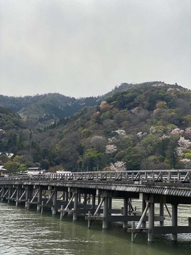 春の嵐山へ<br />人はそれなりにいますね(^O^)