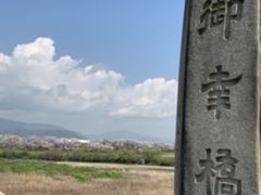 石清水八幡宮から木津川合流点の桜並木！