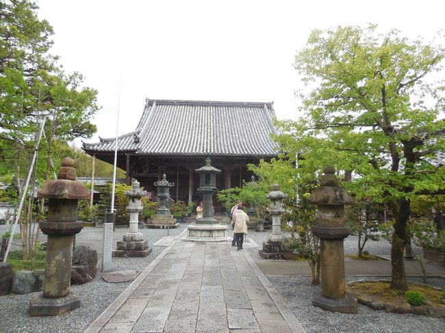 最初は2019年のゴールデンウィーク９連休は妻の田舎である鳥取まで車で帰省しましたが、その途中であちこち関西の観光スポットに寄りました。まずは明智光秀の拠点のひとつ亀山城址に行きました。もうひとつくらい亀岡で観光していこうとスマホで物色していると、こちらの穴太寺という寺院を見つけ、寄っていくことにしました。<br />ここは西国三十三所の第21番札所で、池泉回遊式庭園があって丹波で指折りの名園らしいですが、今回は庭園には行っていない（知らなかったし、行けなかったのか？）です。