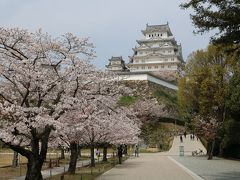 今年も姫路城へ花見に出かけてきました