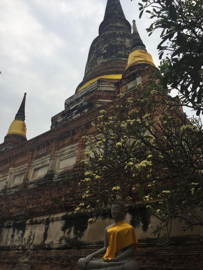 1日目はバンコク三大寺院の1つワット・ポーを見学しただけで終わってしまいましたが、観光は2日目からが本番です！<br />この旅のメイン、アユタヤの日帰りツアーに出かけました。<br />遺跡好きにはたまりません！！<br /><br />それでは出発～↓