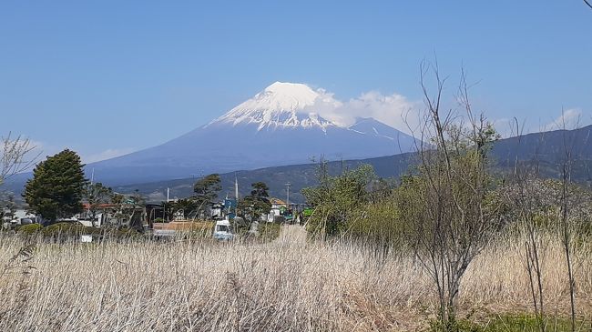 静岡東部日帰り散策の旅2020・04(パート１)