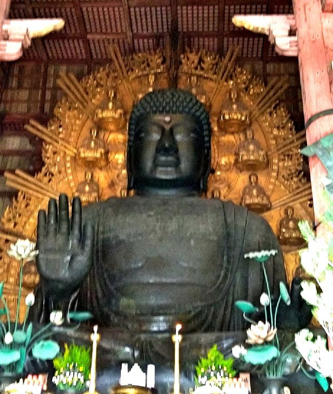 2020/1/20~21 大阪出張を利用して前乗りで奈良に行ってきました。20日の月曜日は奈良公園中心に鹿と戯れながら観光。翌21日は、薬師寺・唐招提寺を見学してから仕事へ。この頃のコロナに対する認識は、中国は大変な事になってるなぁ程度で、インバウンドの観光客もまだまだ大勢いました。<br />1日目は、奈良観光の王道コース見学の旅行記です。