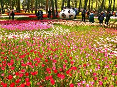 茨城の旅♪満開のチューリップとネモフィラの丘☆アクアワールド大洗水族館