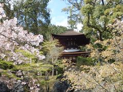 ヨットレースは高リスク　ん！　そんじゃ石山寺に行こう