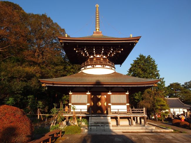 関東三十六不動霊場巡礼・第六回【後編】第10番田無不動尊、田無神社、石神井道場寺、第11番石神井不動尊、石神井氷川神社例大祭