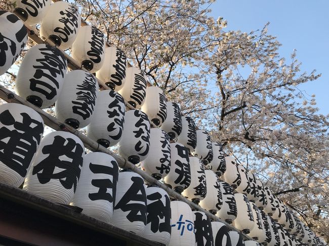 お花見は自粛ですが、都内各地の桜等をまとめて旅行記にしてみました。<br /><br />もう今は更に、クローズ、時短など制限がかなり強くなりましたが…。<br /><br />早く日帰りでも旅行に行きたいですが、今できる範囲内で、<br /><br />楽しめることを頑張ろうと思っています。