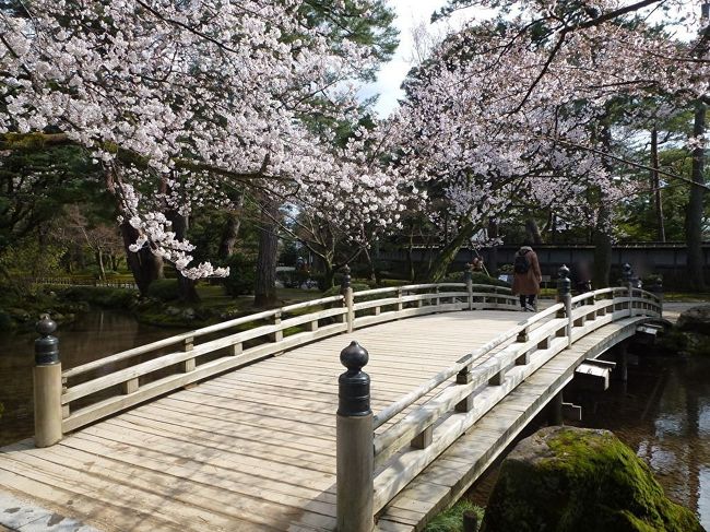 ・今年の花見は『兼六園、金沢城』を予定していました。<br />新型コロナが気になり迷いましたが出掛けることにしました。<br />１日目は雨でしたが２日目は昼から良い天気になり満開の桜を堪能出来ました。<br />兼六園、金沢城公園は５日まで無料開放でした。<br /><br />・大江戸温泉物語がお得なキャンペーンを実施していましたので山代温泉の『山下家』に宿泊しました。<br /><br />行程<br />4月1日(水)<br />1.JR近江八幡駅前～山下家　無料直行バスを利用<br />2.山代温泉周辺の散策<br />『源泉足湯体験、山代温泉古総湯、薬王院温泉寺、魯山人興居跡等』<br />3.夕食バイキング、温泉入浴<br /><br />4月2日(木)<br />1.山下家～JR加賀温泉駅　無料直行バス利用<br />2.JR加賀温泉駅～JR金沢駅到着　５０分程度<br />3.昼食　魚菜屋あんと店<br />4.金沢周辺散策　一日周遊バスチケット購入後に出発　<br />『ひがし茶屋、兼六園、金沢城公園、近江町市場』<br />5.帰路<br /><br />ホテル、兼六園、金沢城公園は空いていました。<br /><br /><br /><br />