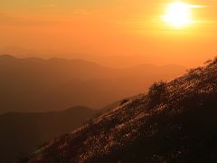 晩秋の四国カルスト黄金のススキ野　＆　冬の松山グルメ