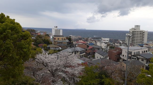 静岡東部日帰り散策の旅2020・04(パート３)