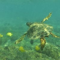 2017年夏！ハワイ島６日間 ３日目