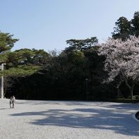 ちょっとお伊勢さん参りしましょ、三重県プチしゃぶり尽くし？ツアー