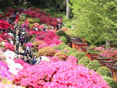 ふらっとお花見、根津神社のつつじまつりへ