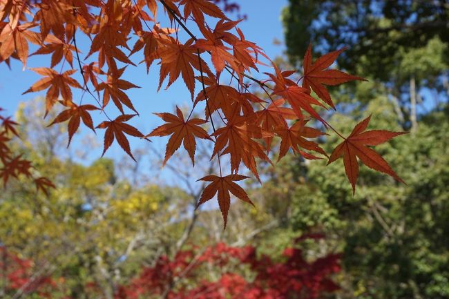 関西散歩記～2019 和歌山・由良町編～