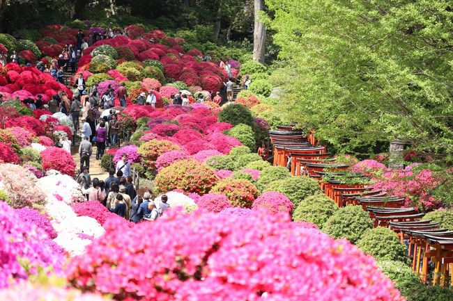 春ですね。いい天気。<br />家からふらっと写真撮りに遊びいきたい！とつつじで有名な根津神社に行ってきました。<br /><br /><br />※2020年はCOVID-19の影響でつつじ祭りは中止、閉苑しているそうです。