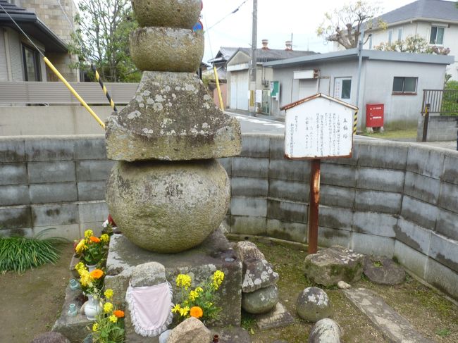 今から約220年前に伊能忠敬が通った西国街道の一部を東加古川駅から加古川駅までの約4キロを写真を撮りながら神社仏閣、歴史散策の旅をする。まず東加古川駅より少し南に下り、旧西国街道へと入る。約500mほど進むと右側に大きな五輪塔が見える。ここから散策のポイントとして「将軍足利義氏五輪塔→野口神社→野口城址→教信寺→宝篋印塔→おり井の清水→龍泉寺→胴切れ地蔵→駅前道標」とみるところが多い。まず義氏の五輪塔は出来栄えとしても立派で室町中期以前のもので見ごたえがある。イオンタウンを抜け少し進むと野口神社が見える。ここは野口城址の候補地でもある。神社の主神は日吉大神で比叡山延暦寺の守護神の分霊をお祭りしている由緒ある寺です。そこから少し行くと左側の窪み地に市の教育委員会が立てた「野口城址」の看板があるが周りには何もない。気を取り直して街道を進むと立派な山門が見えてくる。ここが教信上人をお祀りしている教信寺です。歴史的にも古く由緒ある寺ですのでゆっくりと見学したい。寺から少し下ってゆくと右側に宝篋印塔が見えてくる。教育員会の説明では俗称紫式部の墓と伝えられているが定かでない。塔そのものは室町時代のものらしく立派である。さらに進むと伊能忠敬も見た折井の清水があったが今はない。時代の流れで消滅している。ここは昔から清水が湧き出て旅人や船乗りたちが使用していた井戸があったが、今は民家が立つ・・・気を取り直して街道筋を進むと龍泉寺が右にみえてくる。個々の見どころはいろんな石造物が寺の裏側にきちんと整理して並べてある。お願いすれば拝観できます。そこから50mほど進むと胴切れ地蔵がおまつりしてある。伝説で無礼打ちで切られたが、地蔵様が身代わりになり、胴が割れているお地蔵さまがお祀りしてある。終点加古川駅前には、立派な道標が残っている。薬研堀で掘られた文字は見事です。4キロ足らずの街道には歴史遺産がたくさん見られます。ぜひ足をお運びください。