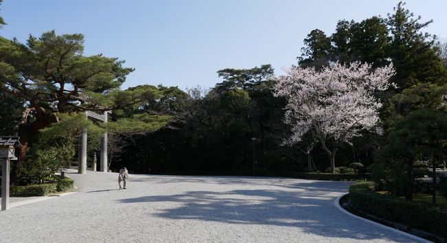 関西から近畿放浪？ツアー<br /><br />大阪で飲み食べ歩きして・・・紀伊半島を各駅停車でぐるりと回る<br />昨日昼に三重県の松阪へ<br />街歩きしてとりあえず和牛(松阪肉では無し）丼を食い<br /><br />それから鳥羽に向かう<br />やっぱり島ね<br />鳥羽諸島坂手島へ渡り夜に伊勢到着<br /><br />二見浦から海水を毎日トラックで運び沸かすという凄い拘り銭湯の旭湯<br />大衆ローカルいすず食堂で伊勢ナイト<br /><br />今日はお伊勢さん参りはしなくちゃね<br />早朝からチャリで伊勢外宮と内宮へ<br />三重県は余り来ない県なので、今日一日夕方まで三重県詣の１日ツアー<br />