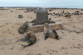 ウォルヴィス・ベイ周辺巡り