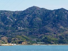 Sakura Tour　1　竹原～大久野島　