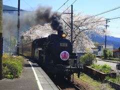 大井川鐡道 桜とＳＬを求めて